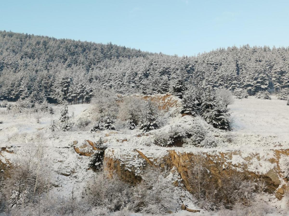Appartamento Арт Мезонет Salem Velingrad Esterno foto
